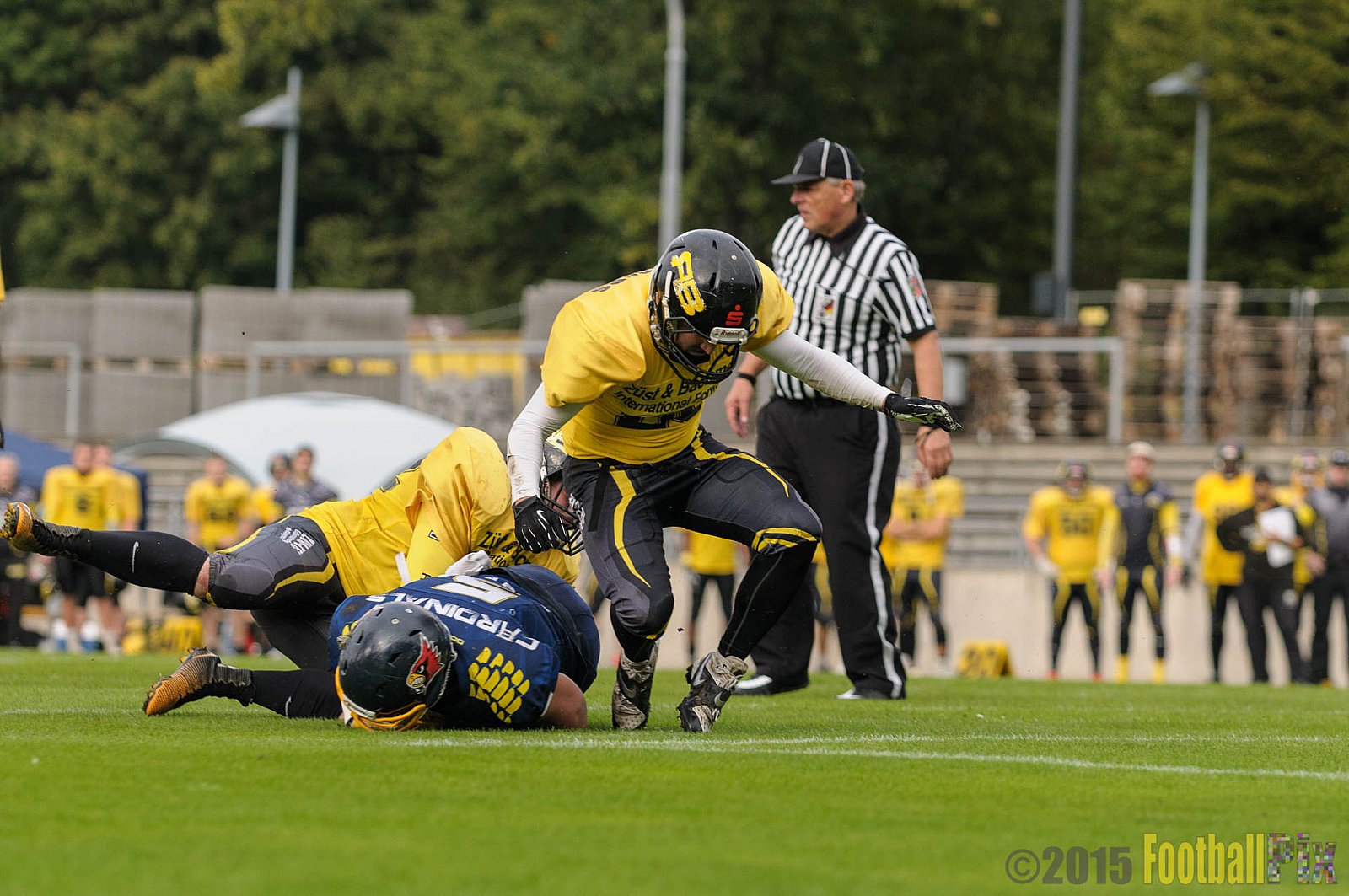 Essen Assindia Cardinals vs. Ritterhude Badgers - 19.09.2015 RL NRW: Essen Assindia Cardinals vs. Ritterhude Badgers (43:0)