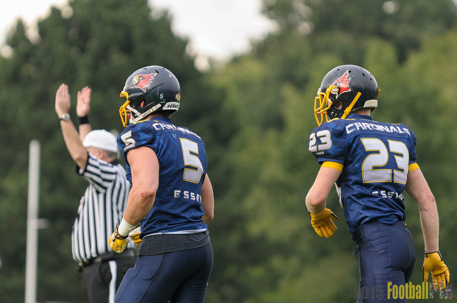 Essen Assindia Cardinals vs. Ritterhude Badgers - 19.09.2015 RL NRW: Essen Assindia Cardinals vs. Ritterhude Badgers (43:0)