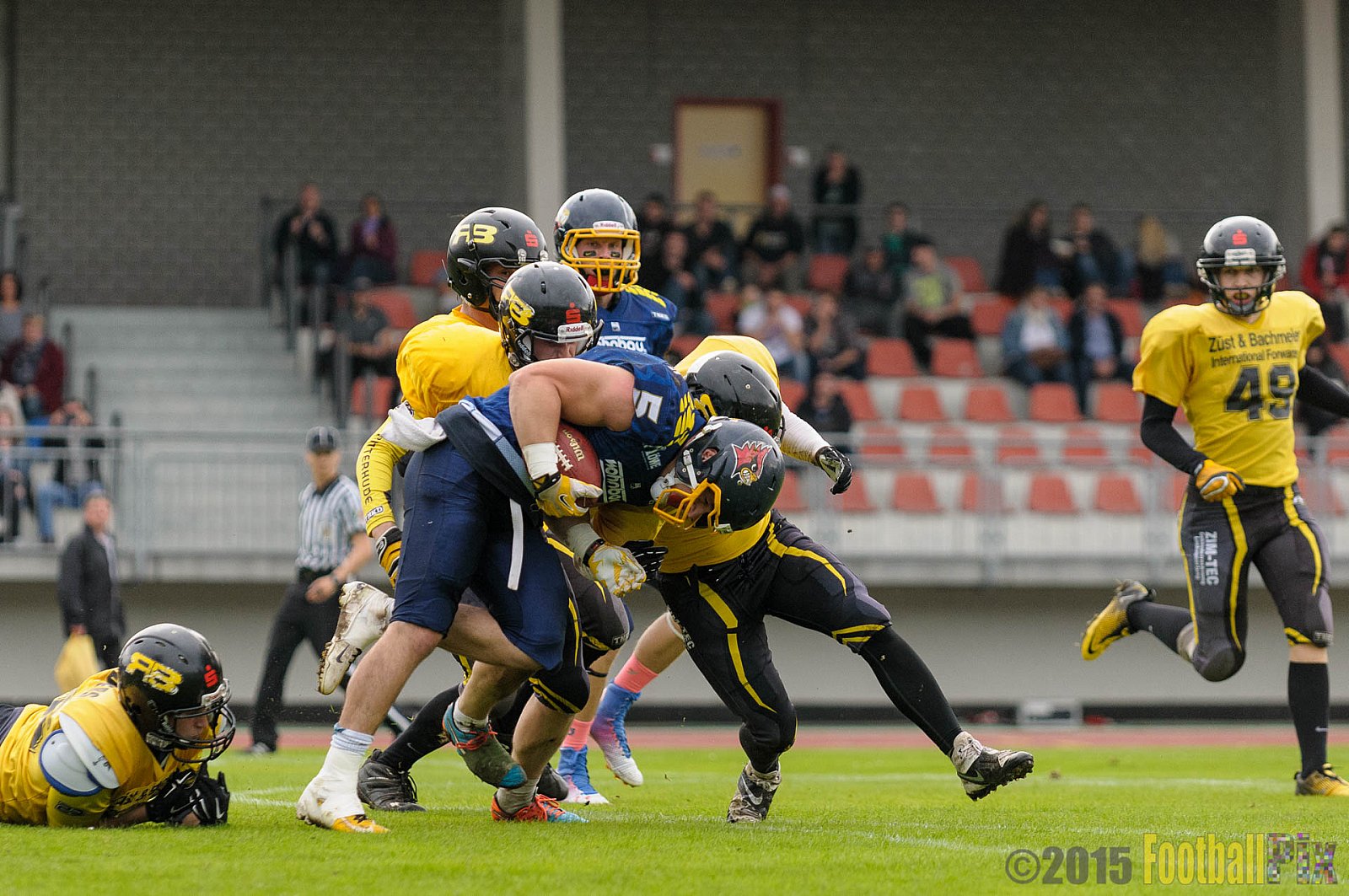 Essen Assindia Cardinals vs. Ritterhude Badgers - 19.09.2015 RL NRW: Essen Assindia Cardinals vs. Ritterhude Badgers (43:0)