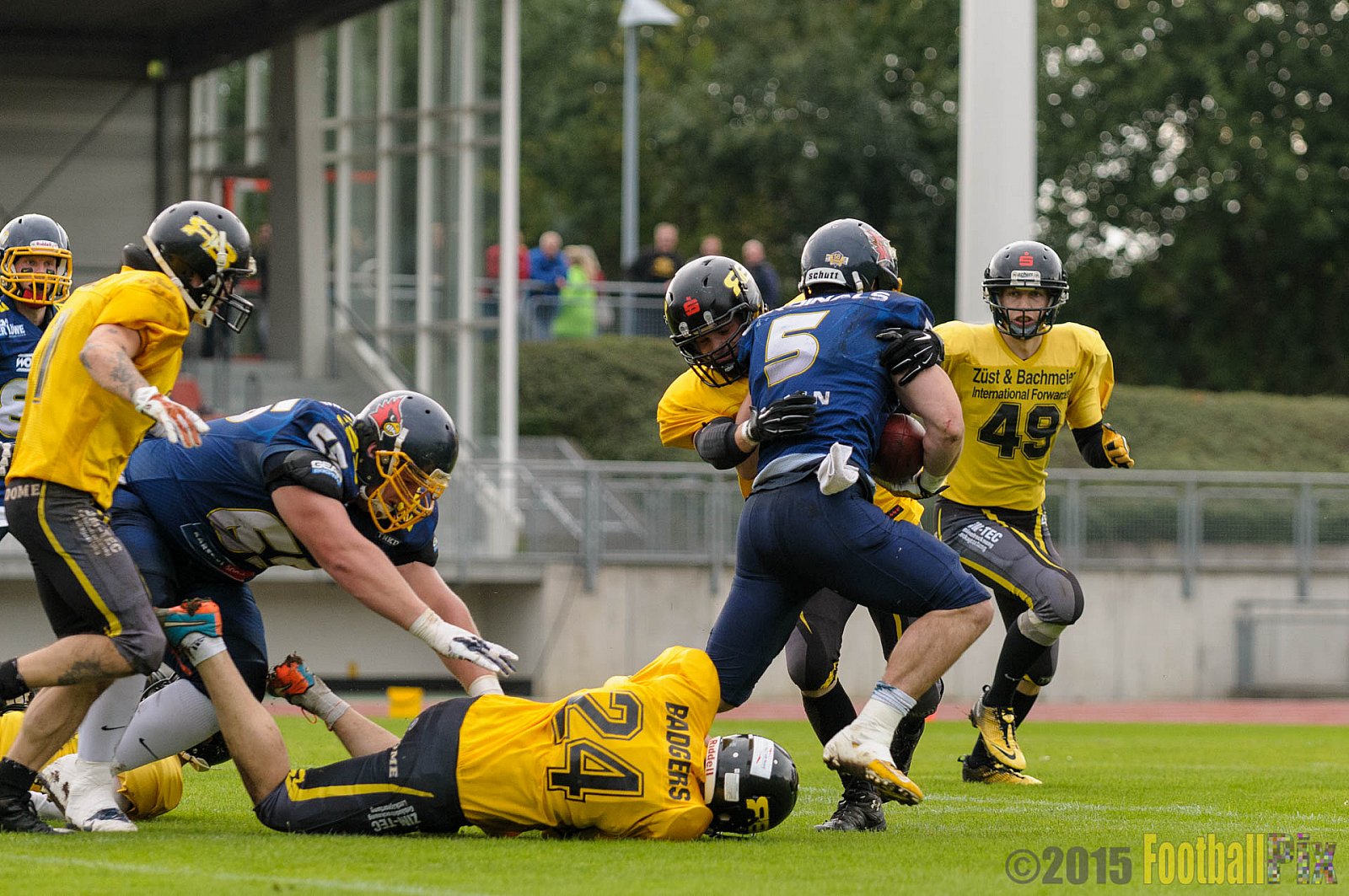 Essen Assindia Cardinals vs. Ritterhude Badgers - 19.09.2015 RL NRW: Essen Assindia Cardinals vs. Ritterhude Badgers (43:0)