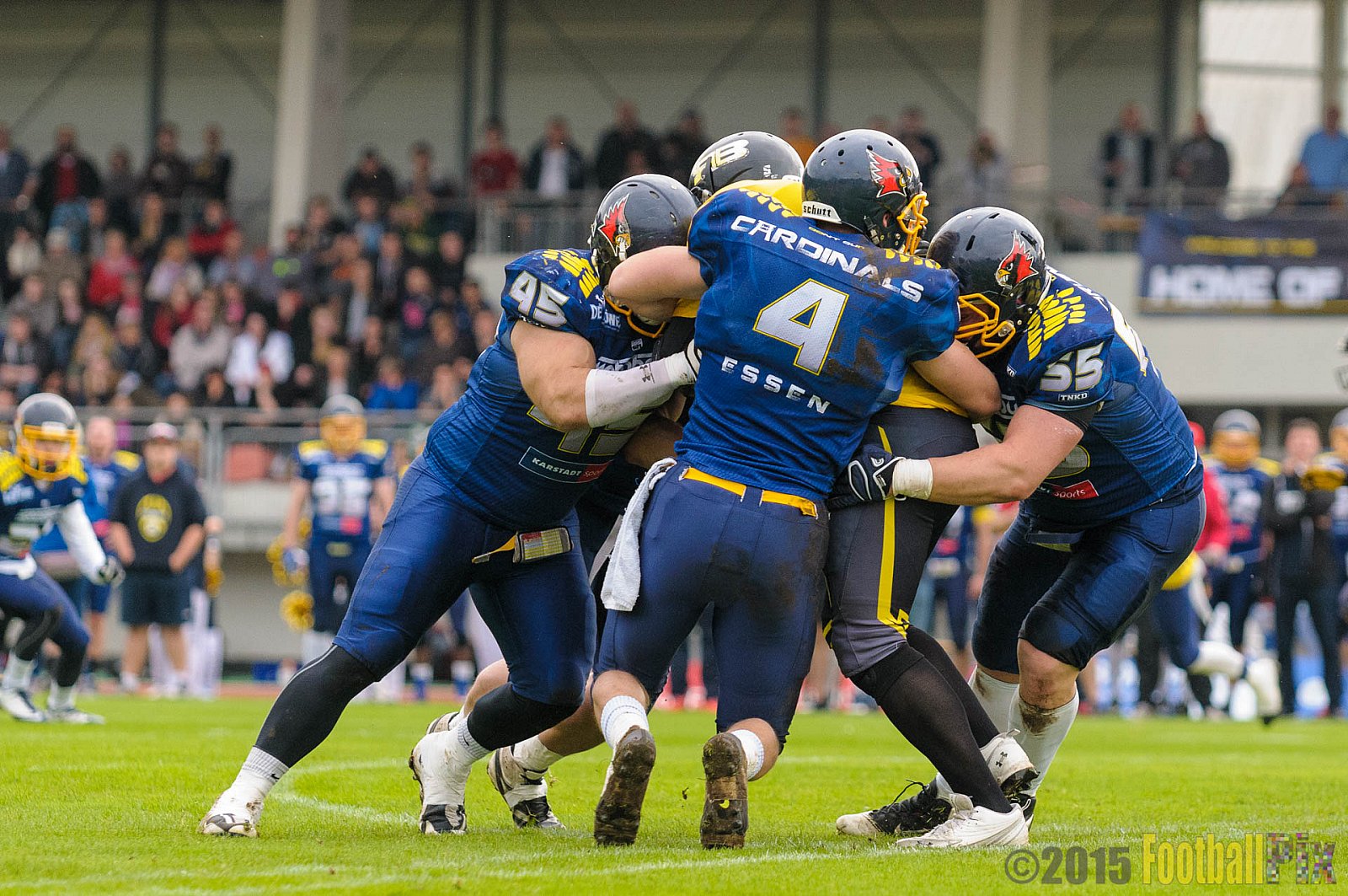 Essen Assindia Cardinals vs. Ritterhude Badgers - 19.09.2015 RL NRW: Essen Assindia Cardinals vs. Ritterhude Badgers (43:0)
