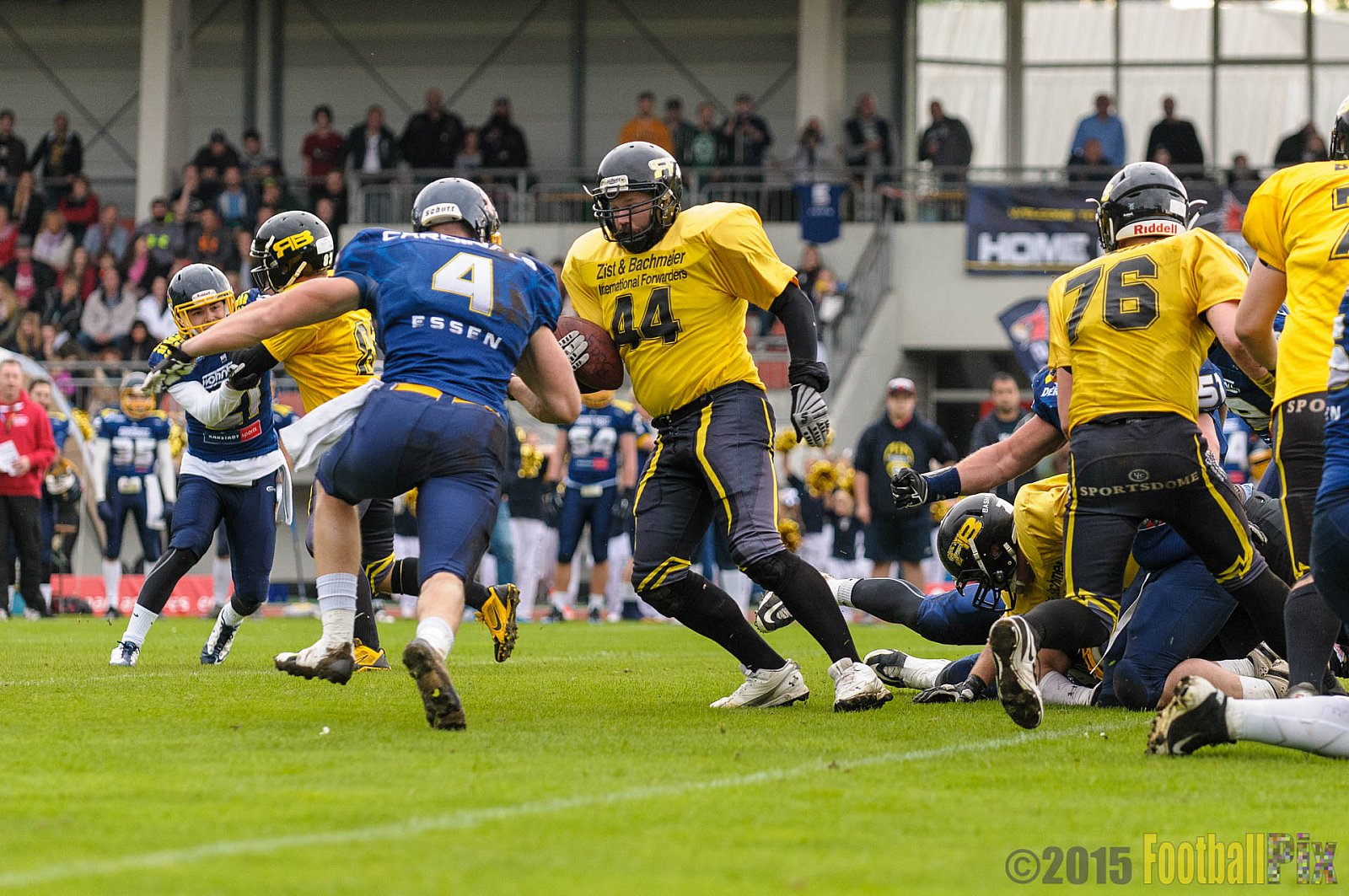 Essen Assindia Cardinals vs. Ritterhude Badgers - 19.09.2015 RL NRW: Essen Assindia Cardinals vs. Ritterhude Badgers (43:0)