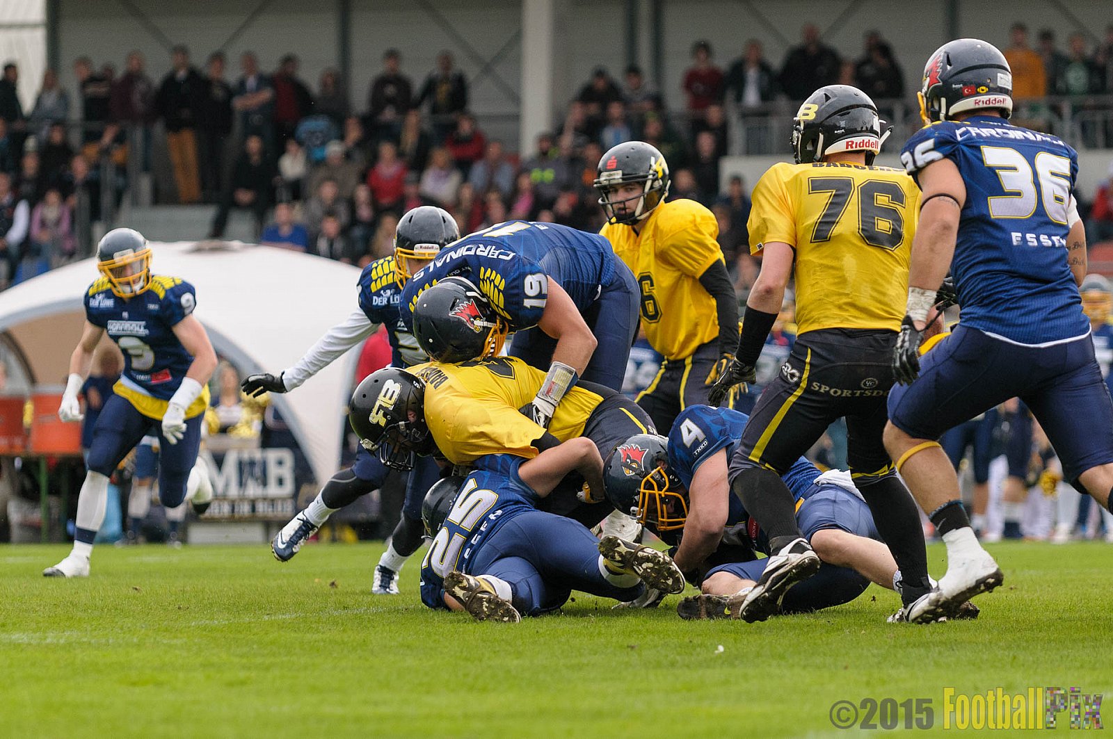 Essen Assindia Cardinals vs. Ritterhude Badgers - 19.09.2015 RL NRW: Essen Assindia Cardinals vs. Ritterhude Badgers (43:0)