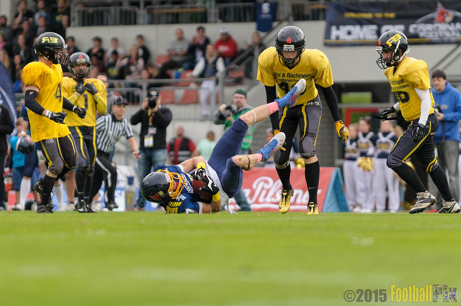 Essen Assindia Cardinals vs. Ritterhude Badgers - 19.09.2015 RL NRW: Essen Assindia Cardinals vs. Ritterhude Badgers (43:0)
