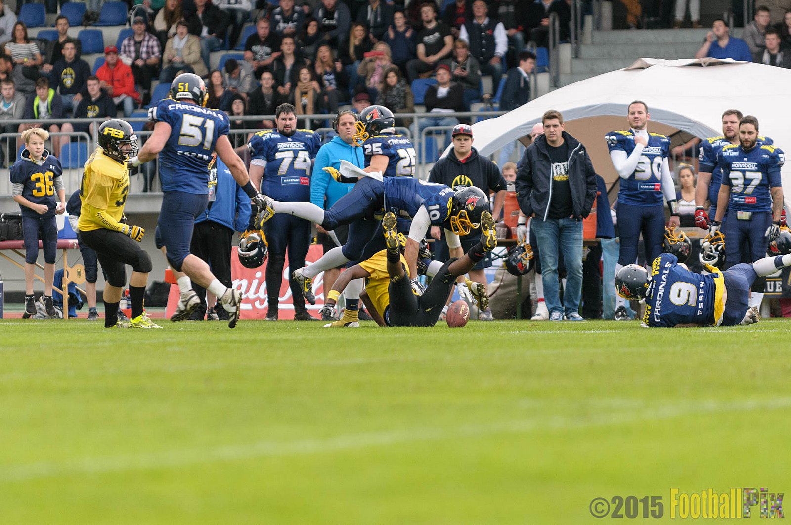 Essen Assindia Cardinals vs. Ritterhude Badgers - 19.09.2015 RL NRW: Essen Assindia Cardinals vs. Ritterhude Badgers (43:0)