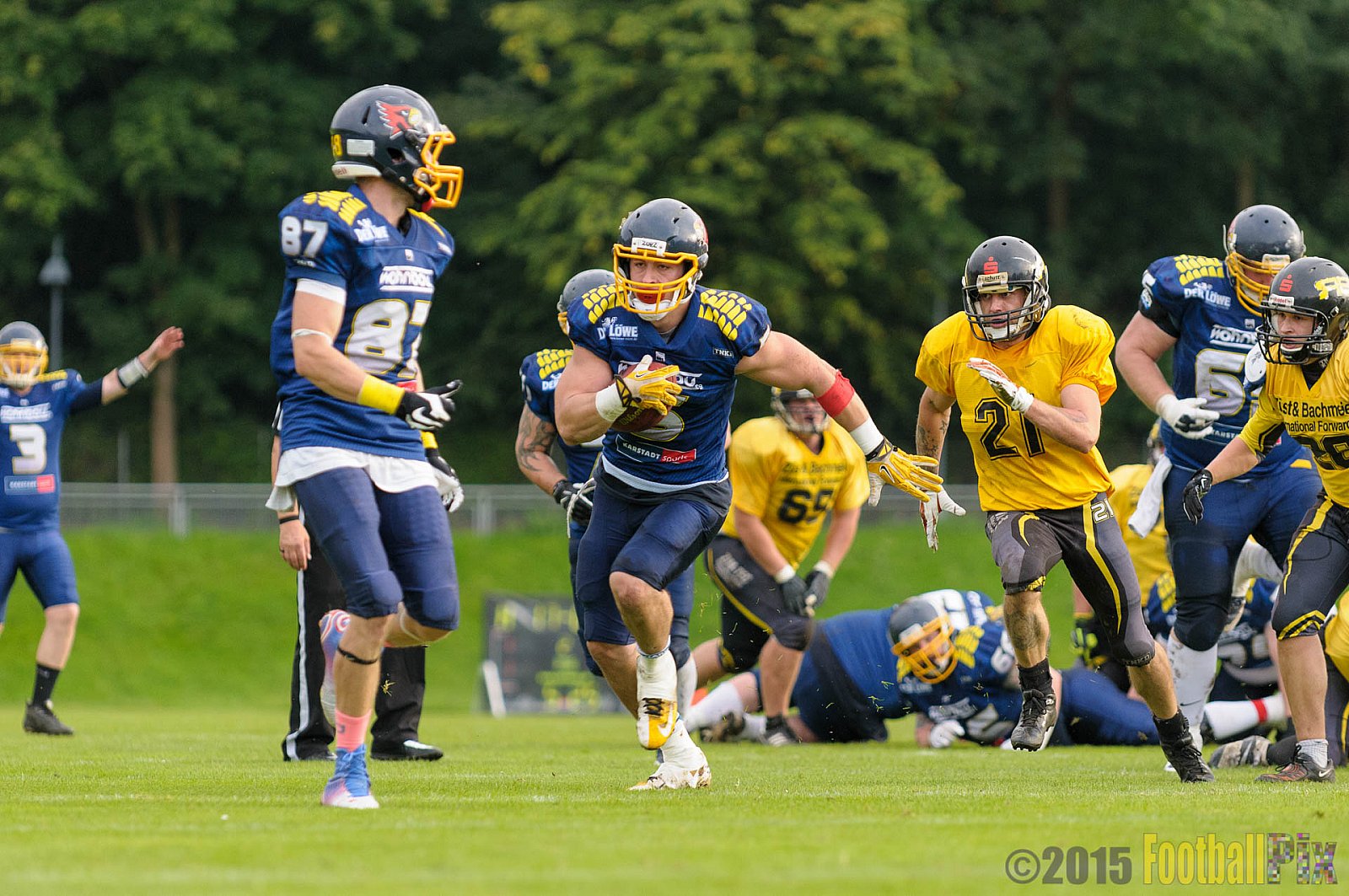 Essen Assindia Cardinals vs. Ritterhude Badgers - 19.09.2015 RL NRW: Essen Assindia Cardinals vs. Ritterhude Badgers (43:0)