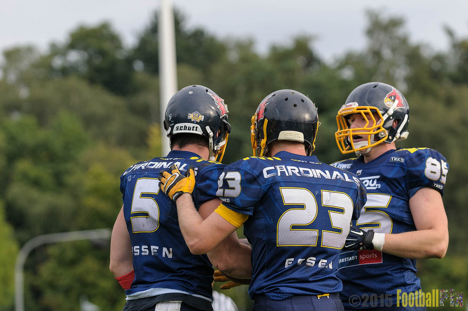 Essen Assindia Cardinals vs. Ritterhude Badgers - 19.09.2015 RL NRW: Essen Assindia Cardinals vs. Ritterhude Badgers (43:0)