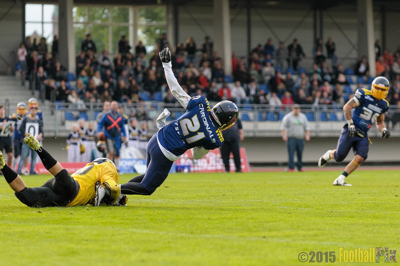Essen Assindia Cardinals vs. Ritterhude Badgers - 19.09.2015 RL NRW: Essen Assindia Cardinals vs. Ritterhude Badgers (43:0)