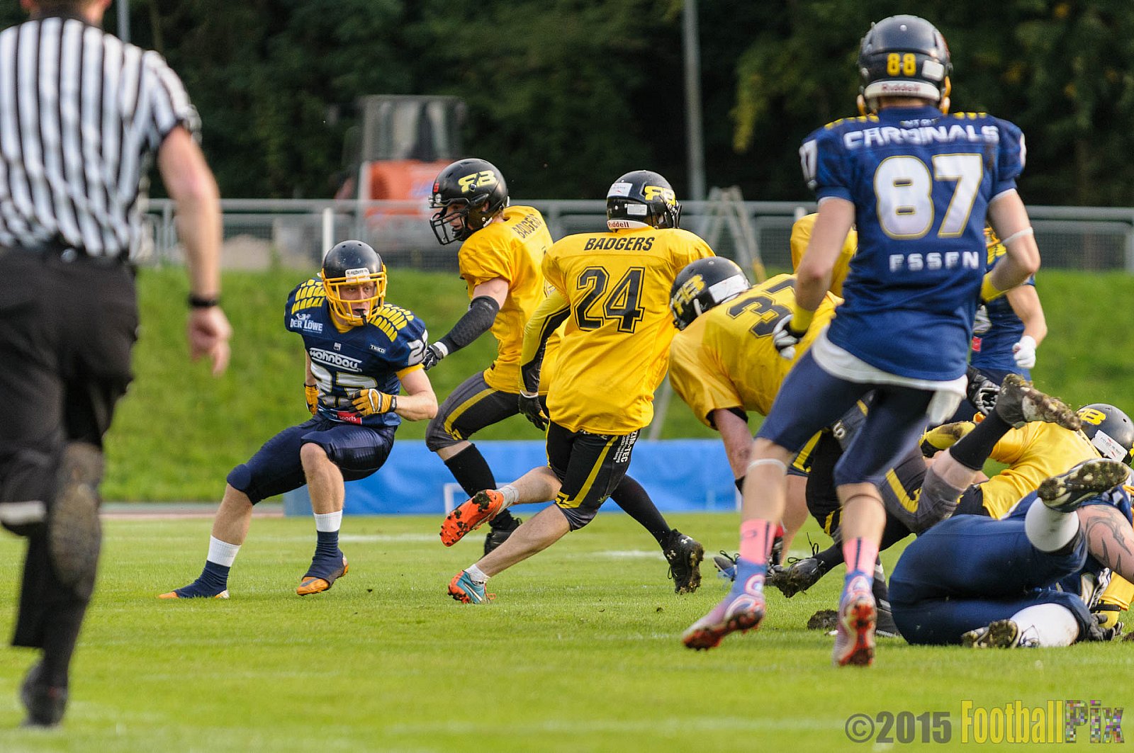 Essen Assindia Cardinals vs. Ritterhude Badgers - 19.09.2015 RL NRW: Essen Assindia Cardinals vs. Ritterhude Badgers (43:0)