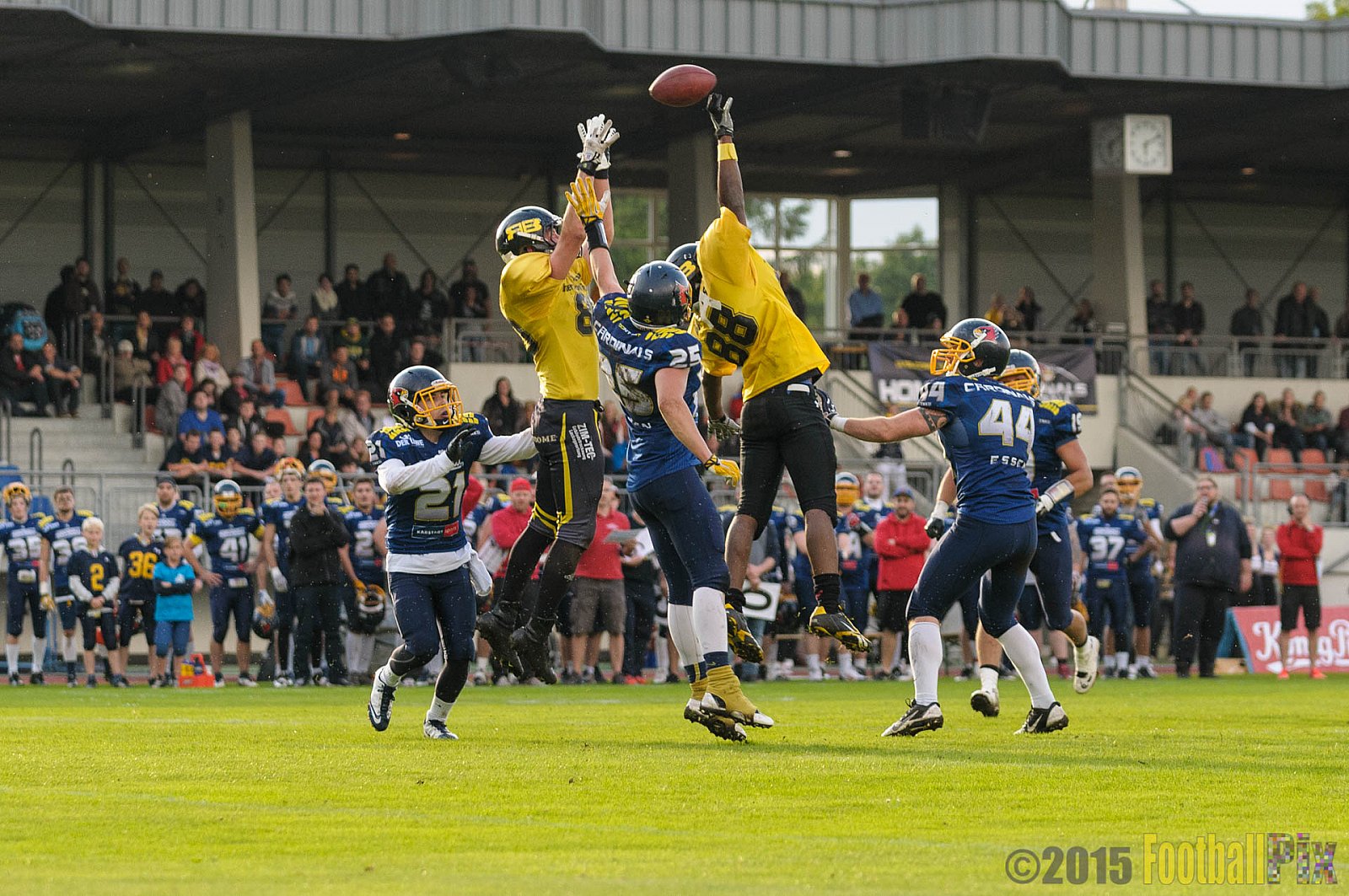 Essen Assindia Cardinals vs. Ritterhude Badgers - 19.09.2015 RL NRW: Essen Assindia Cardinals vs. Ritterhude Badgers (43:0)