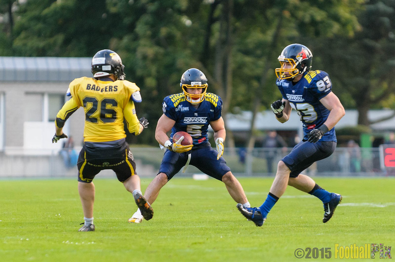 Essen Assindia Cardinals vs. Ritterhude Badgers - 19.09.2015 RL NRW: Essen Assindia Cardinals vs. Ritterhude Badgers (43:0)