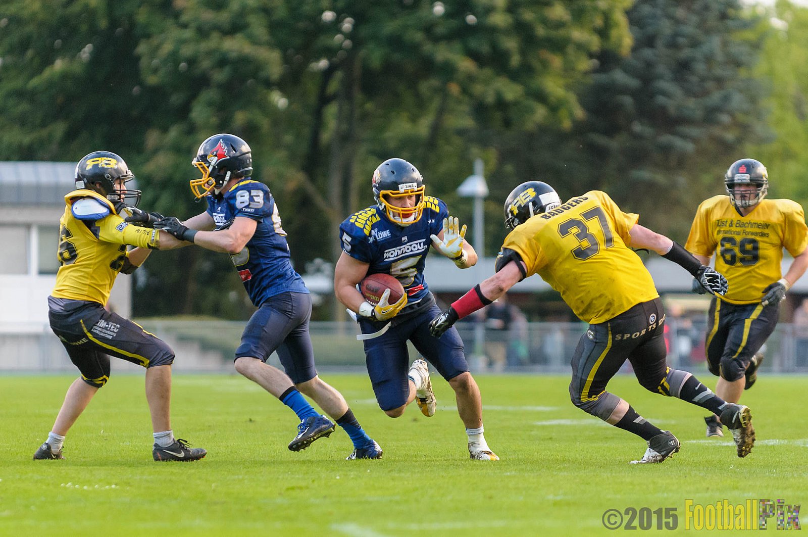 Essen Assindia Cardinals vs. Ritterhude Badgers - 19.09.2015 RL NRW: Essen Assindia Cardinals vs. Ritterhude Badgers (43:0)