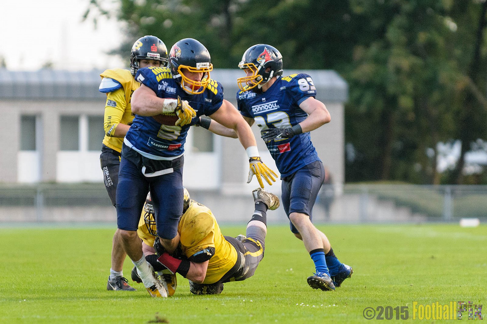 Essen Assindia Cardinals vs. Ritterhude Badgers - 19.09.2015 RL NRW: Essen Assindia Cardinals vs. Ritterhude Badgers (43:0)