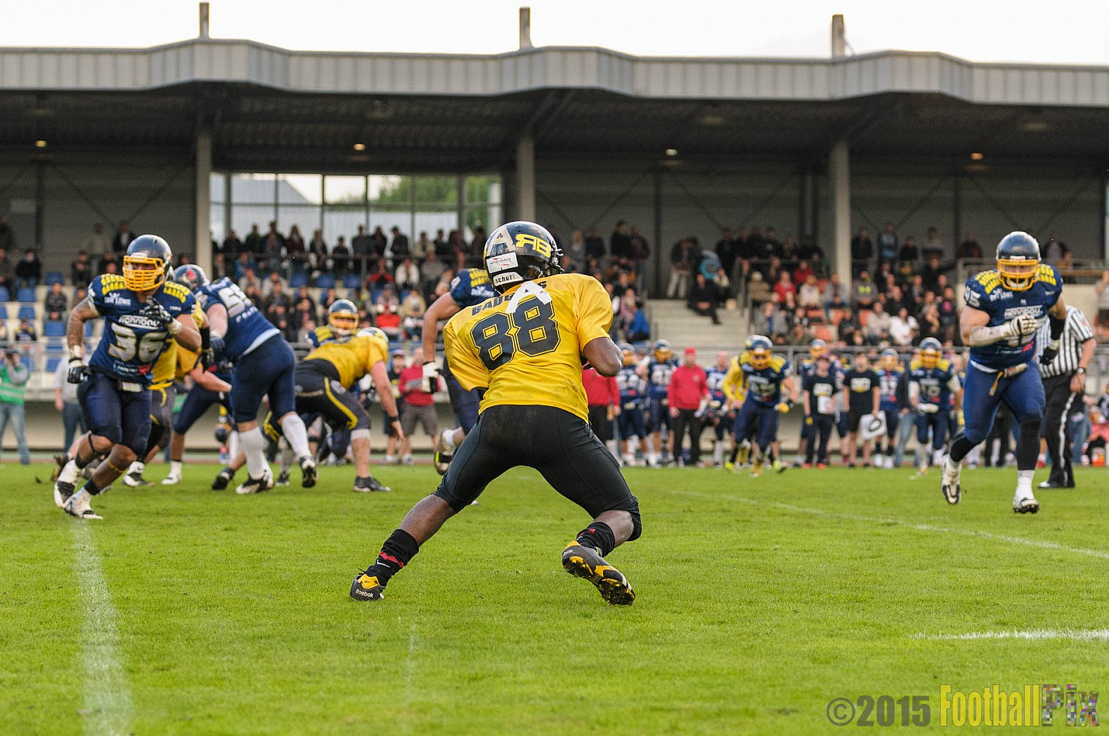 Essen Assindia Cardinals vs. Ritterhude Badgers - 19.09.2015 RL NRW: Essen Assindia Cardinals vs. Ritterhude Badgers (43:0)