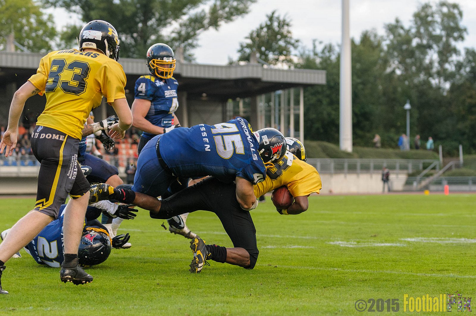 Essen Assindia Cardinals vs. Ritterhude Badgers - 19.09.2015 RL NRW: Essen Assindia Cardinals vs. Ritterhude Badgers (43:0)