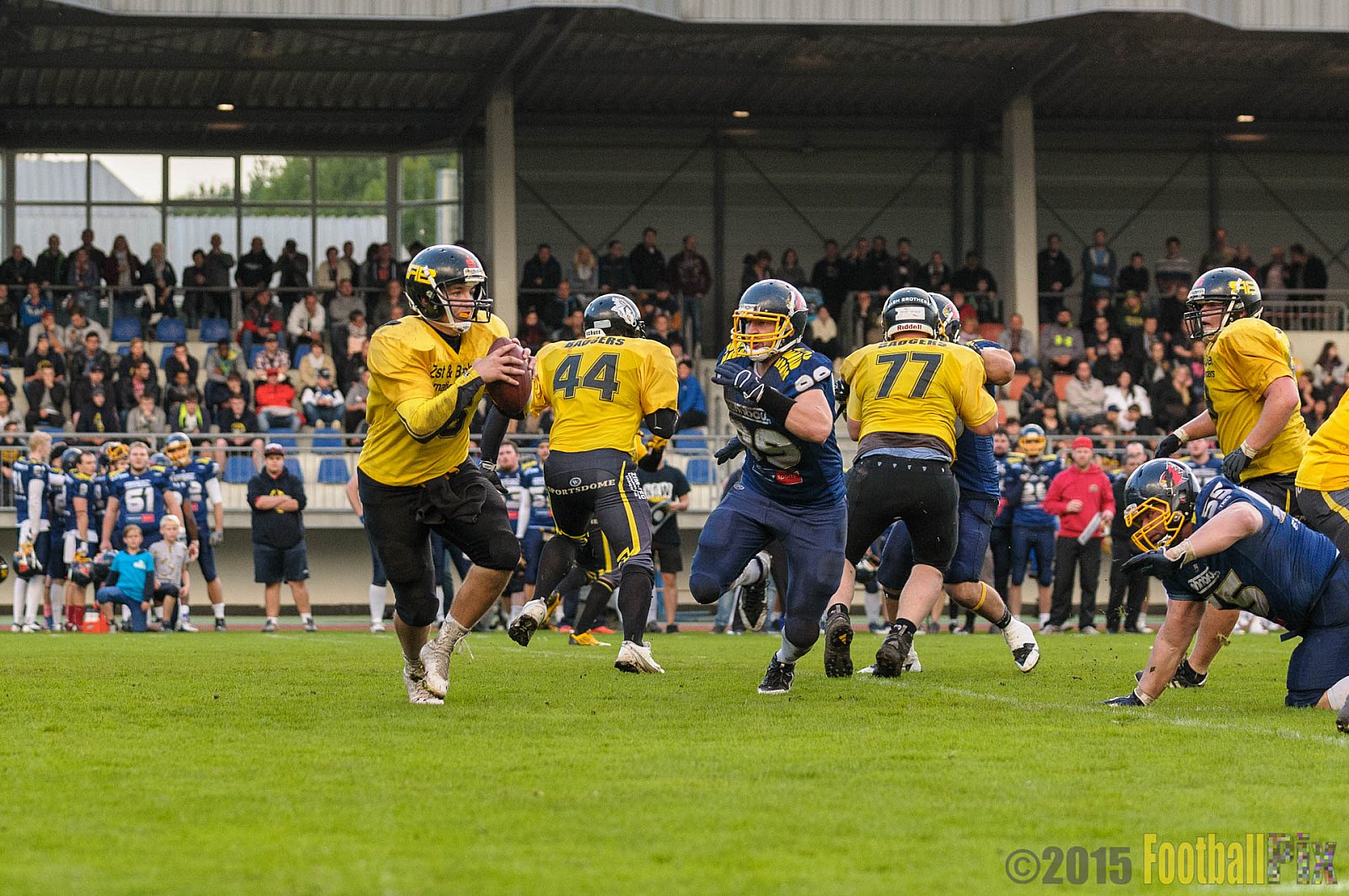 Essen Assindia Cardinals vs. Ritterhude Badgers - 19.09.2015 RL NRW: Essen Assindia Cardinals vs. Ritterhude Badgers (43:0)
