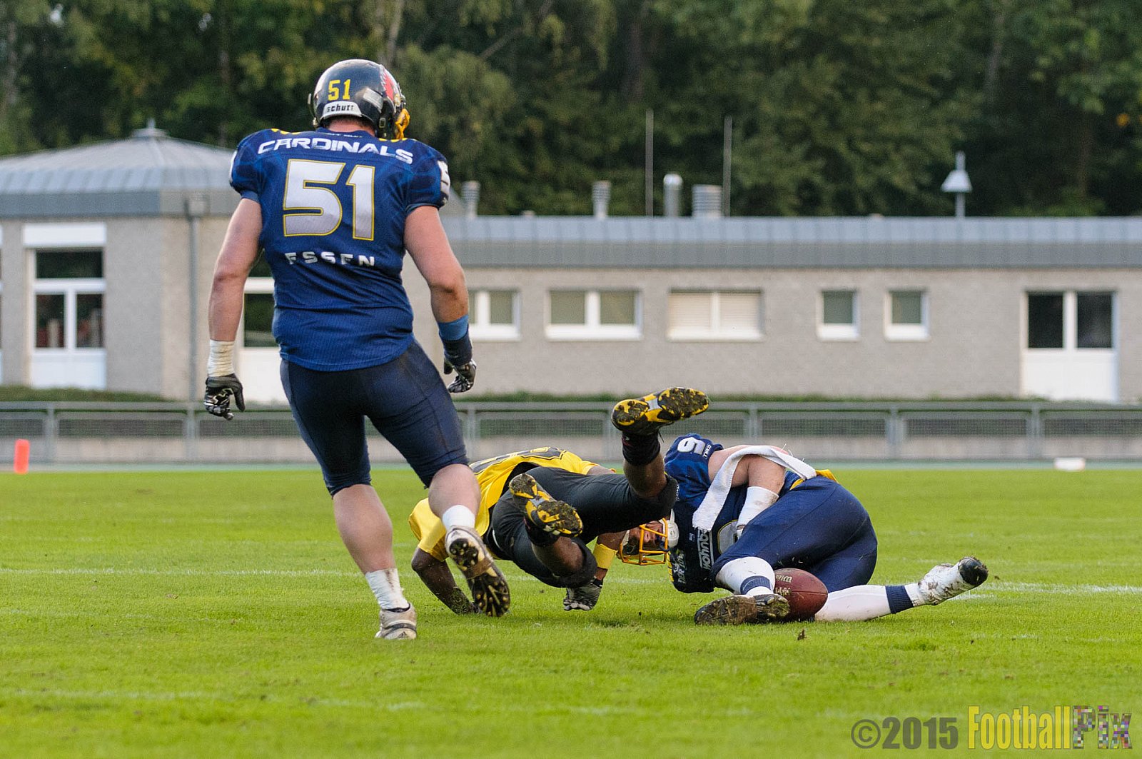 Essen Assindia Cardinals vs. Ritterhude Badgers - 19.09.2015 RL NRW: Essen Assindia Cardinals vs. Ritterhude Badgers (43:0)