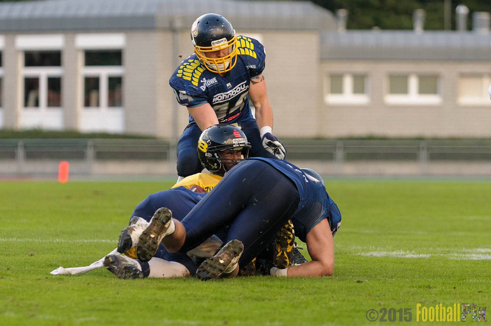 Essen Assindia Cardinals vs. Ritterhude Badgers - 19.09.2015 RL NRW: Essen Assindia Cardinals vs. Ritterhude Badgers (43:0)