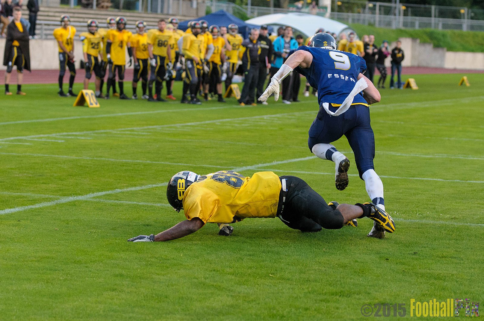 Essen Assindia Cardinals vs. Ritterhude Badgers - 19.09.2015 RL NRW: Essen Assindia Cardinals vs. Ritterhude Badgers (43:0)