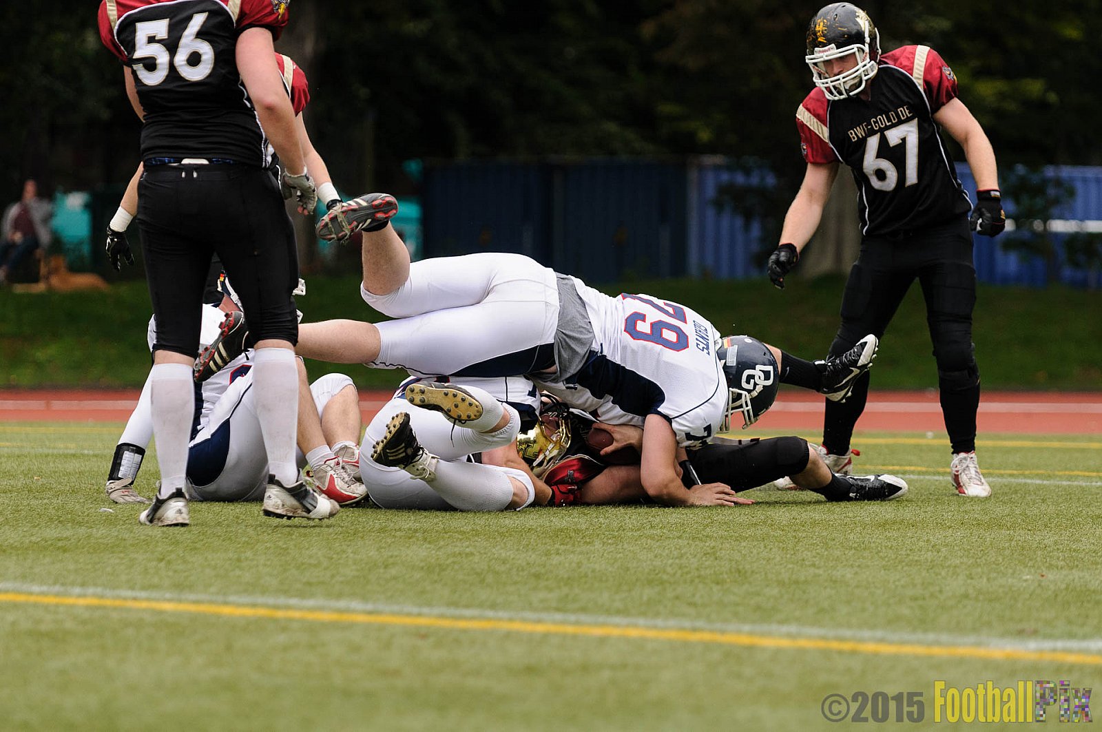 Cologne Falcons vs. Dortmund Giants - 20.09.2015 OL NRW: Cologne Falcons vs. Dortmund Giants (38:16)