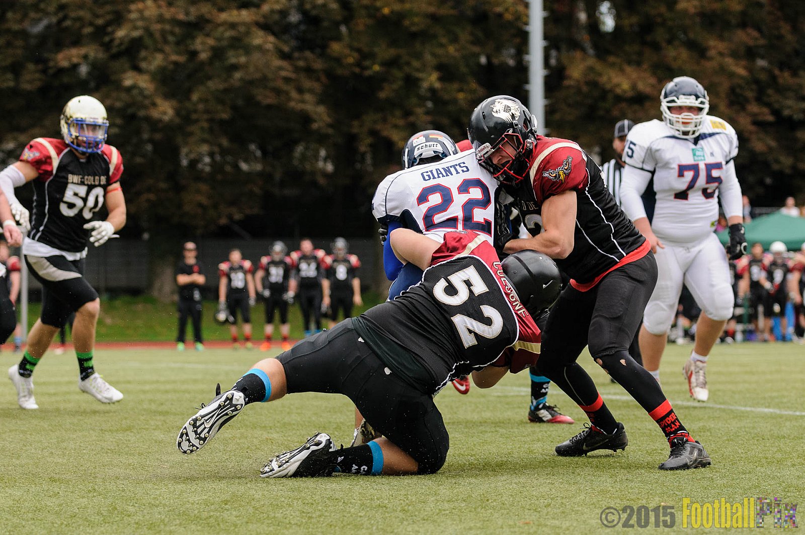 Cologne Falcons vs. Dortmund Giants - 20.09.2015 OL NRW: Cologne Falcons vs. Dortmund Giants (38:16)