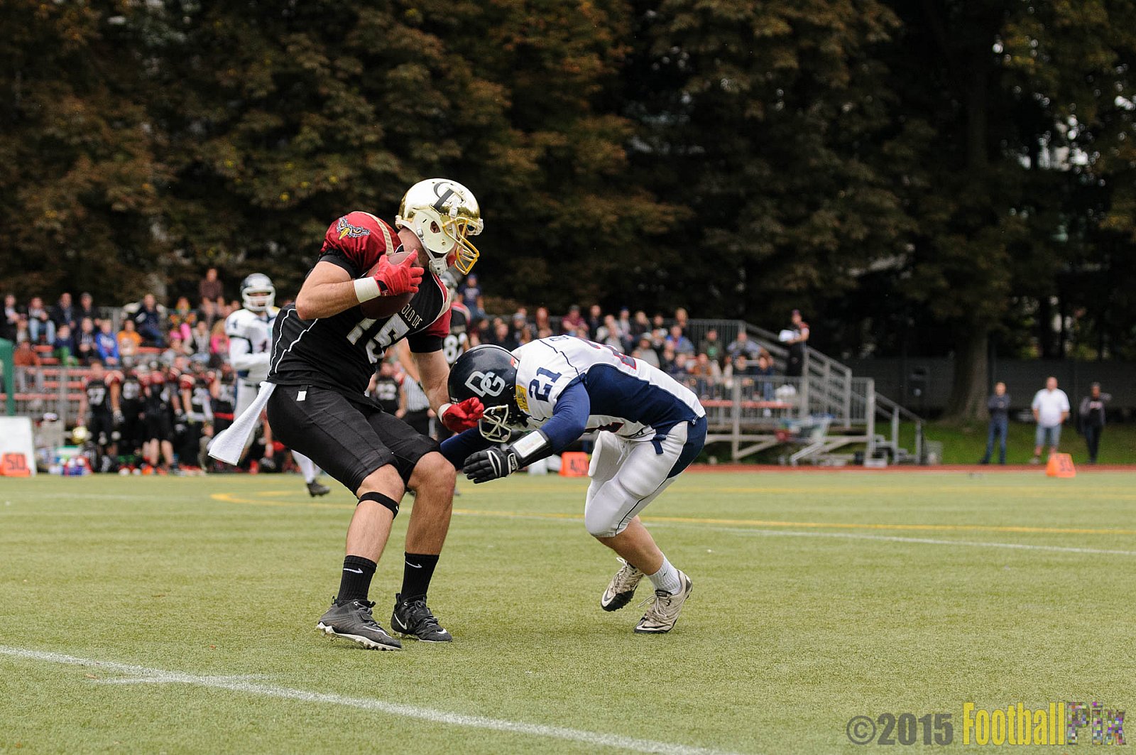 Cologne Falcons vs. Dortmund Giants - 20.09.2015 OL NRW: Cologne Falcons vs. Dortmund Giants (38:16)