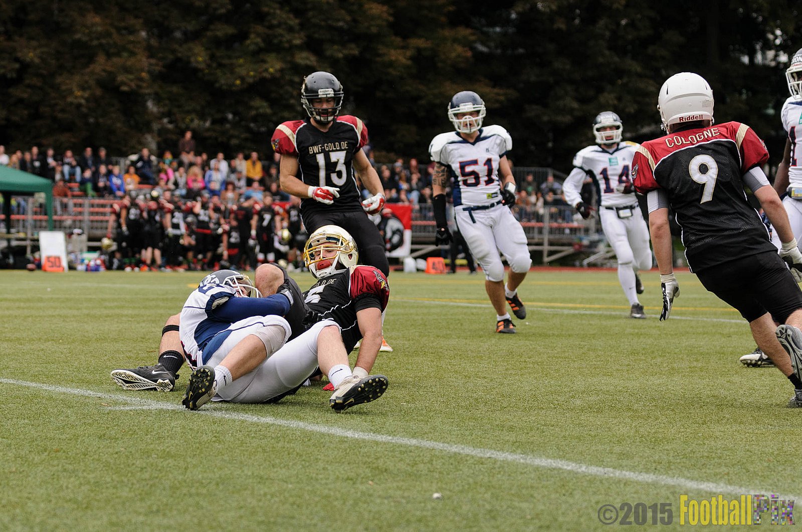 Cologne Falcons vs. Dortmund Giants - 20.09.2015 OL NRW: Cologne Falcons vs. Dortmund Giants (38:16)