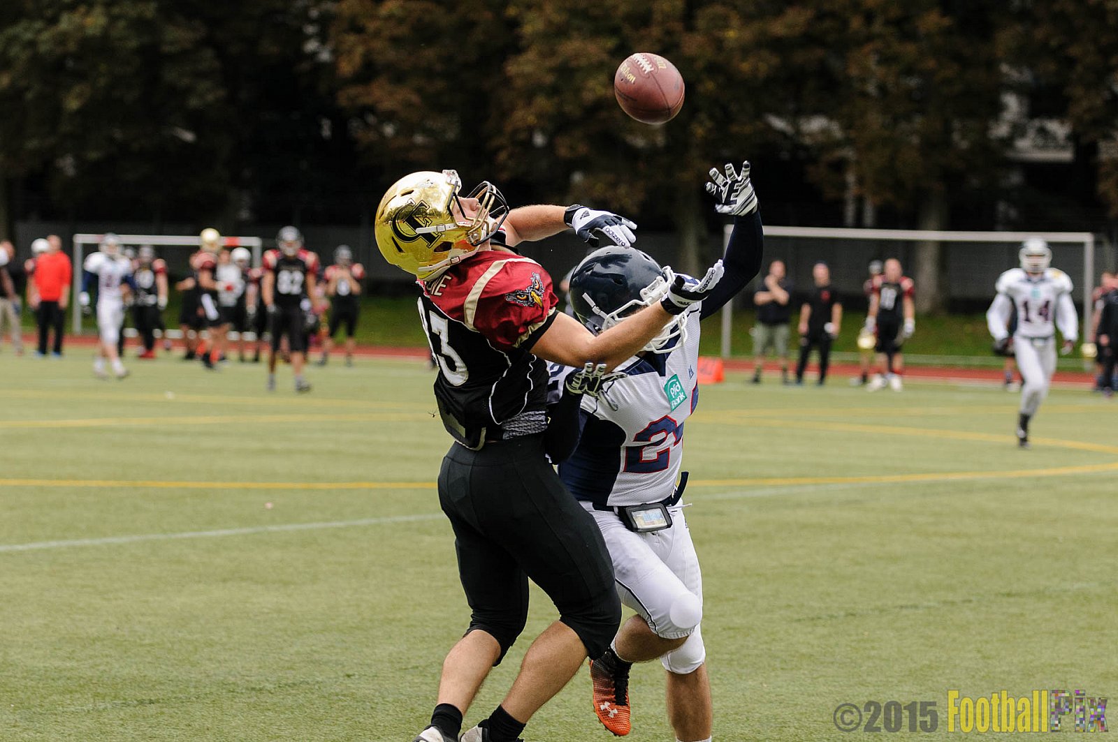 Cologne Falcons vs. Dortmund Giants - 20.09.2015 OL NRW: Cologne Falcons vs. Dortmund Giants (38:16)