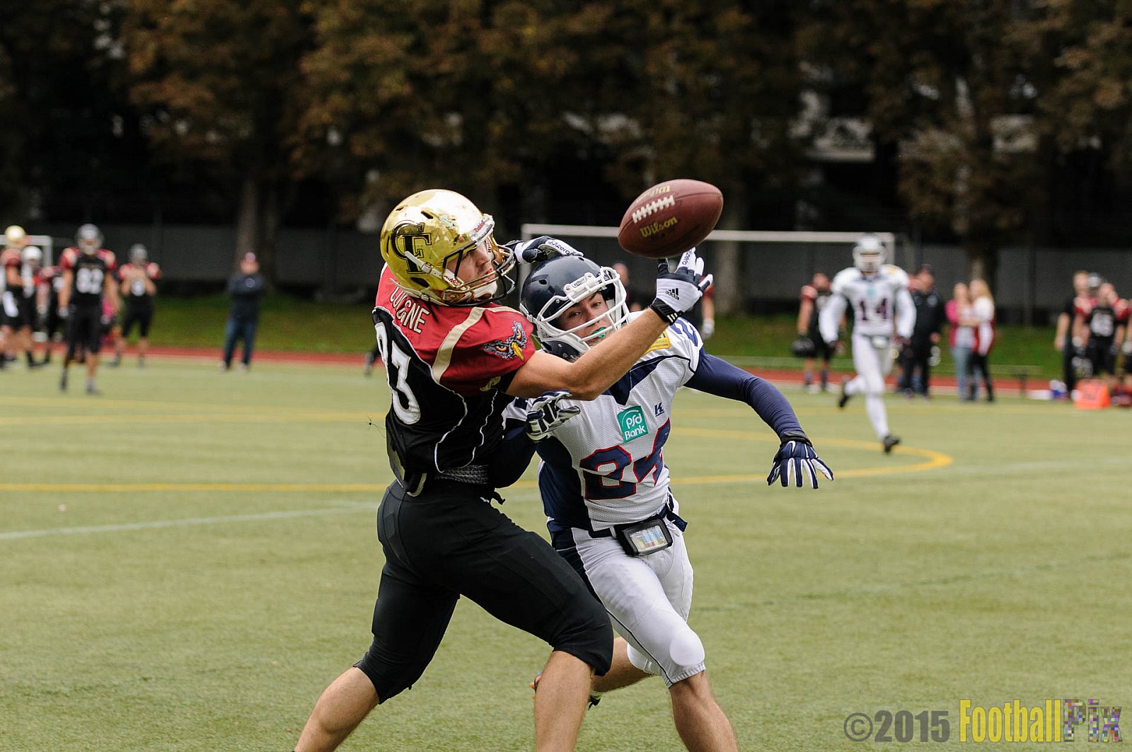Cologne Falcons vs. Dortmund Giants - 20.09.2015 OL NRW: Cologne Falcons vs. Dortmund Giants (38:16)