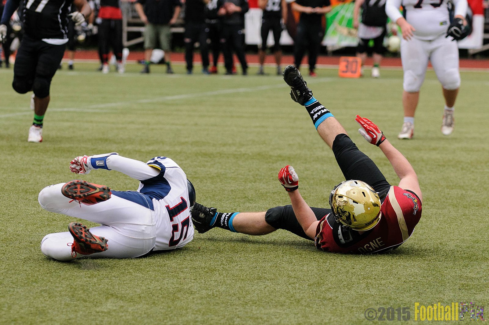 Cologne Falcons vs. Dortmund Giants - 20.09.2015 OL NRW: Cologne Falcons vs. Dortmund Giants (38:16)