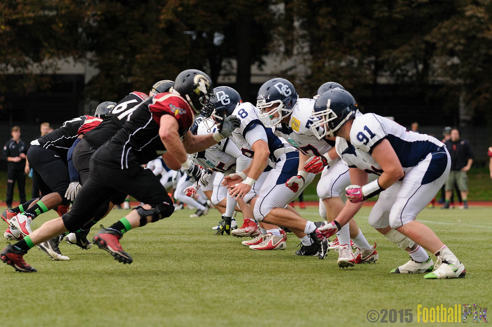 Cologne Falcons vs. Dortmund Giants - 20.09.2015 OL NRW: Cologne Falcons vs. Dortmund Giants (38:16)