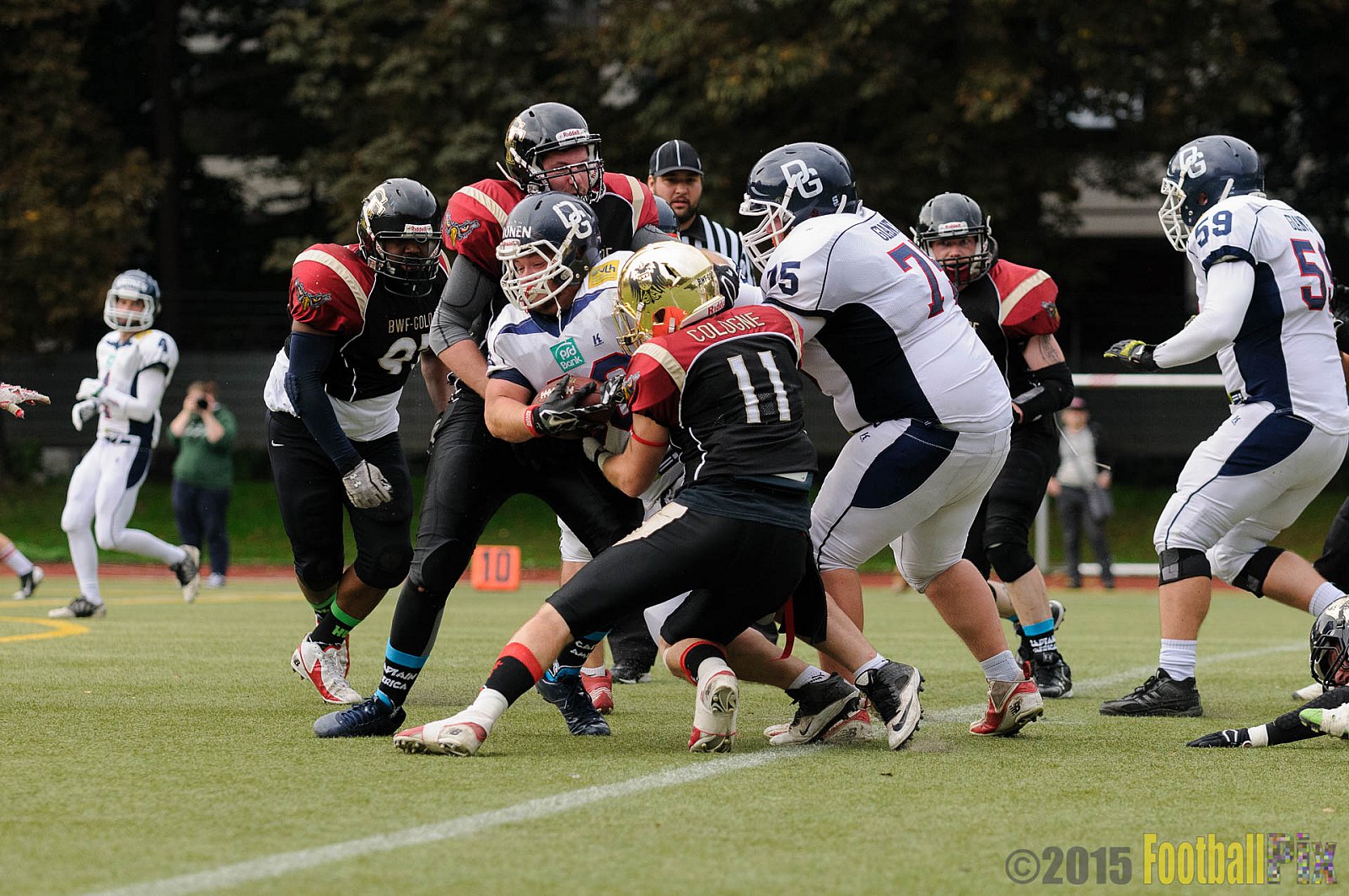 Cologne Falcons vs. Dortmund Giants - 20.09.2015 OL NRW: Cologne Falcons vs. Dortmund Giants (38:16)