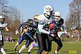 Gelsenkirchen Devils vs. Mönchengladbach Wolfpack  - 08.03.2015 Scrimmage: Schiefbahn Riders, Mülheim Shamrocks