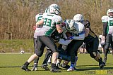 Gelsenkirchen Devils vs. Mönchengladbach Wolfpack  - 08.03.2015 Scrimmage: Schiefbahn Riders, Mülheim Shamrocks