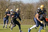 Gelsenkirchen Devils vs. Mönchengladbach Wolfpack  - 08.03.2015 Scrimmage: Schiefbahn Riders, Mülheim Shamrocks