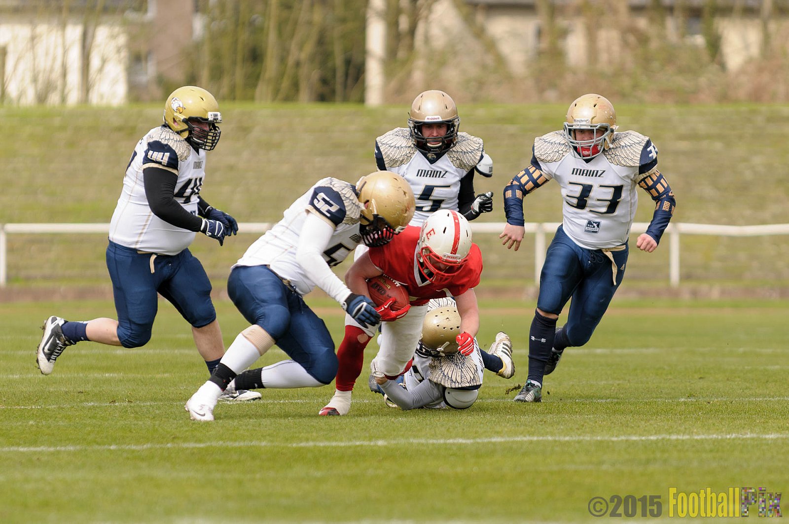 Preseason Game Gelsenkirchen Devils vs. Mainz Golden Eagles - 11.04.2015 Off-Season Game: Gelsenkirchen Devils vs. Mainz Golden Eagles (31:0)