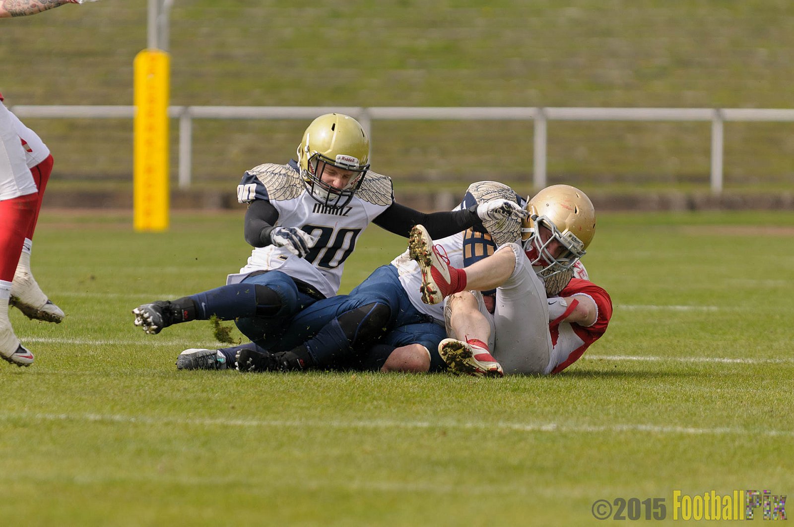 Preseason Game Gelsenkirchen Devils vs. Mainz Golden Eagles - 11.04.2015 Off-Season Game: Gelsenkirchen Devils vs. Mainz Golden Eagles (31:0)