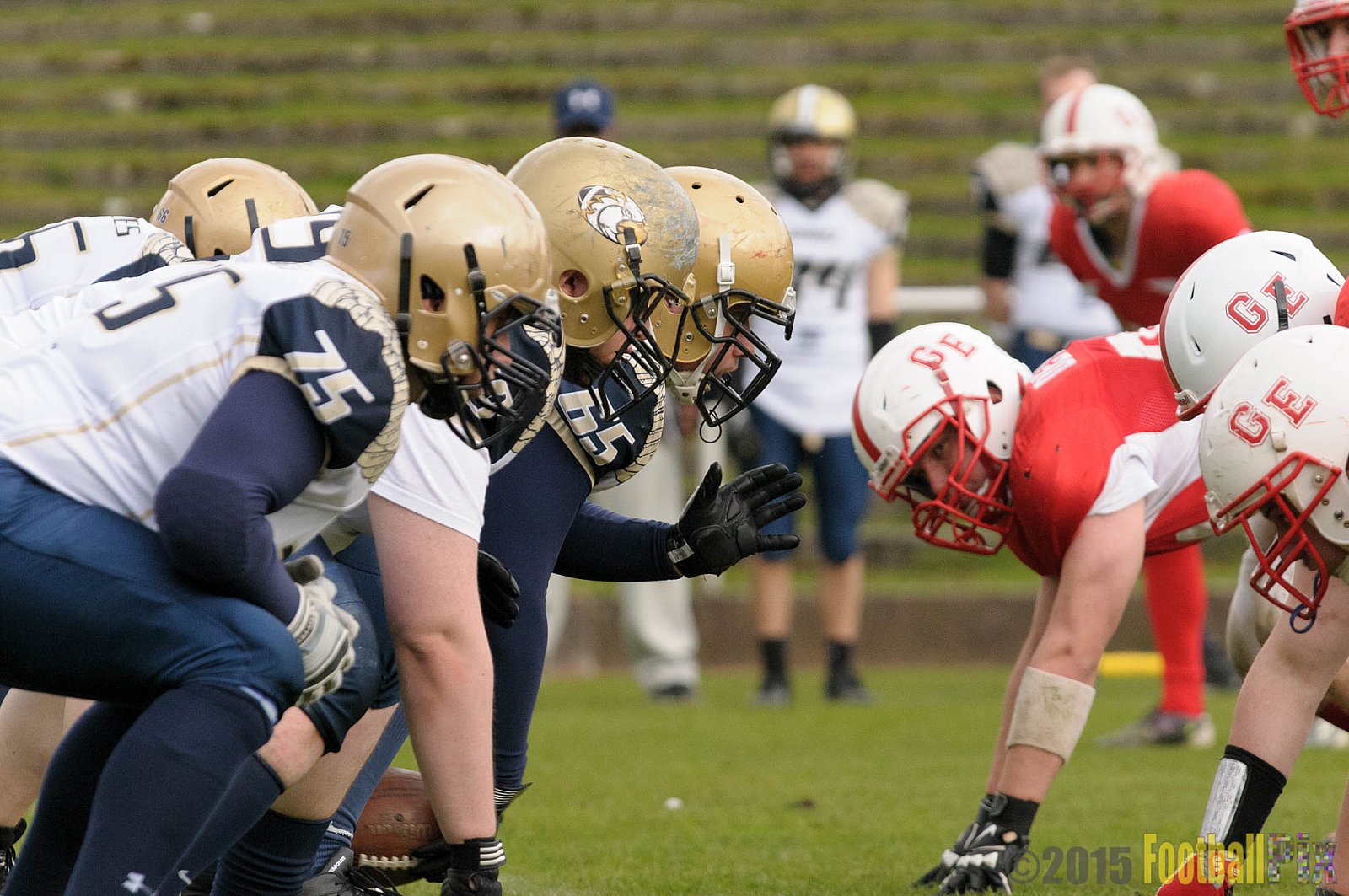 Preseason Game Gelsenkirchen Devils vs. Mainz Golden Eagles - 11.04.2015 Off-Season Game: Gelsenkirchen Devils vs. Mainz Golden Eagles (31:0)