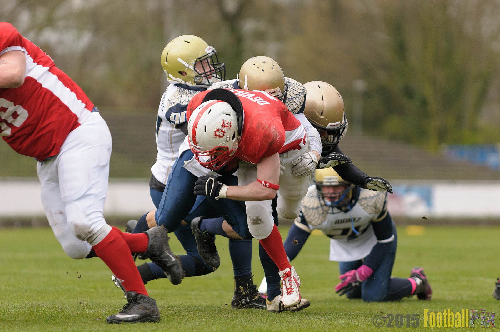 Preseason Game Gelsenkirchen Devils vs. Mainz Golden Eagles - 11.04.2015 Off-Season Game: Gelsenkirchen Devils vs. Mainz Golden Eagles (31:0)
