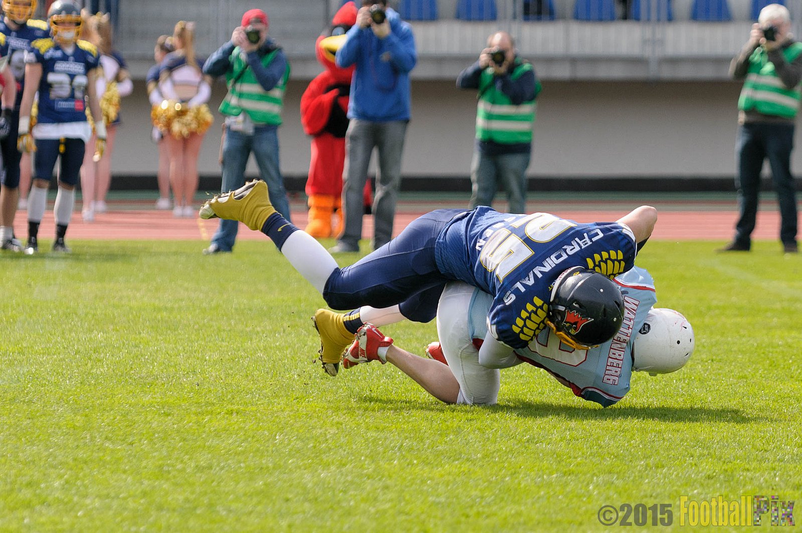 Essen Assindia Cardinals vs. Bonn Gamecocks - 12.04.2015 Preseason Game Essen Assindia Cardinals vs. Bonn Gamecocks (14:12)