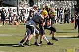 Cologne Falcons II vs. Mönchengladbach Wolfpack - 18.04.2015 OL NRW: Cologne Falcons II vs. Mönchengladbach Wolfpack (44:12)