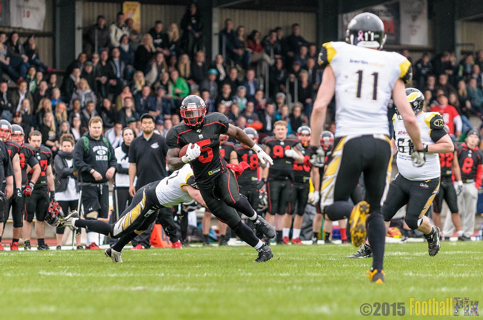 Düsseldorf Panther vs. Berlin Adler - 25.04.2015 GFL Nord: Düsseldorf Panther vs. Berlin Adler (30:0)