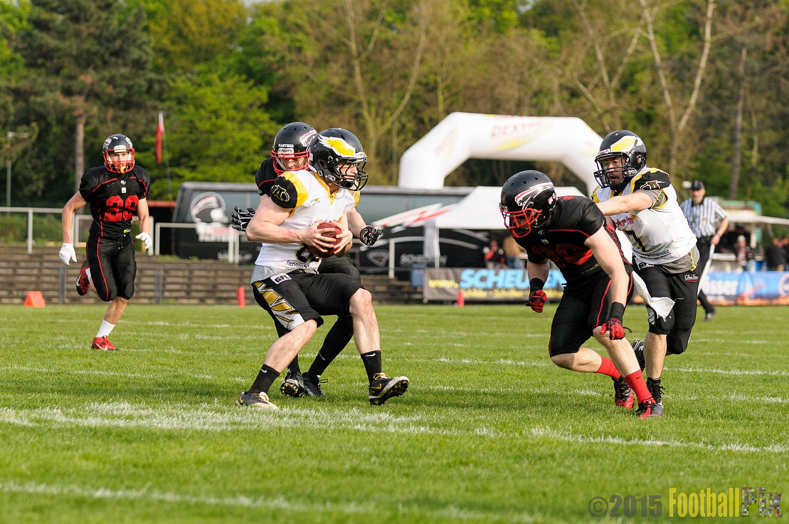 Düsseldorf Panther vs. Berlin Adler - 25.04.2015 GFL Nord: Düsseldorf Panther vs. Berlin Adler (30:0)