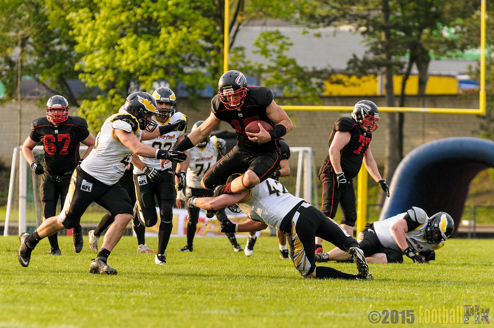 Düsseldorf Panther vs. Berlin Adler - 25.04.2015 GFL Nord: Düsseldorf Panther vs. Berlin Adler (30:0)