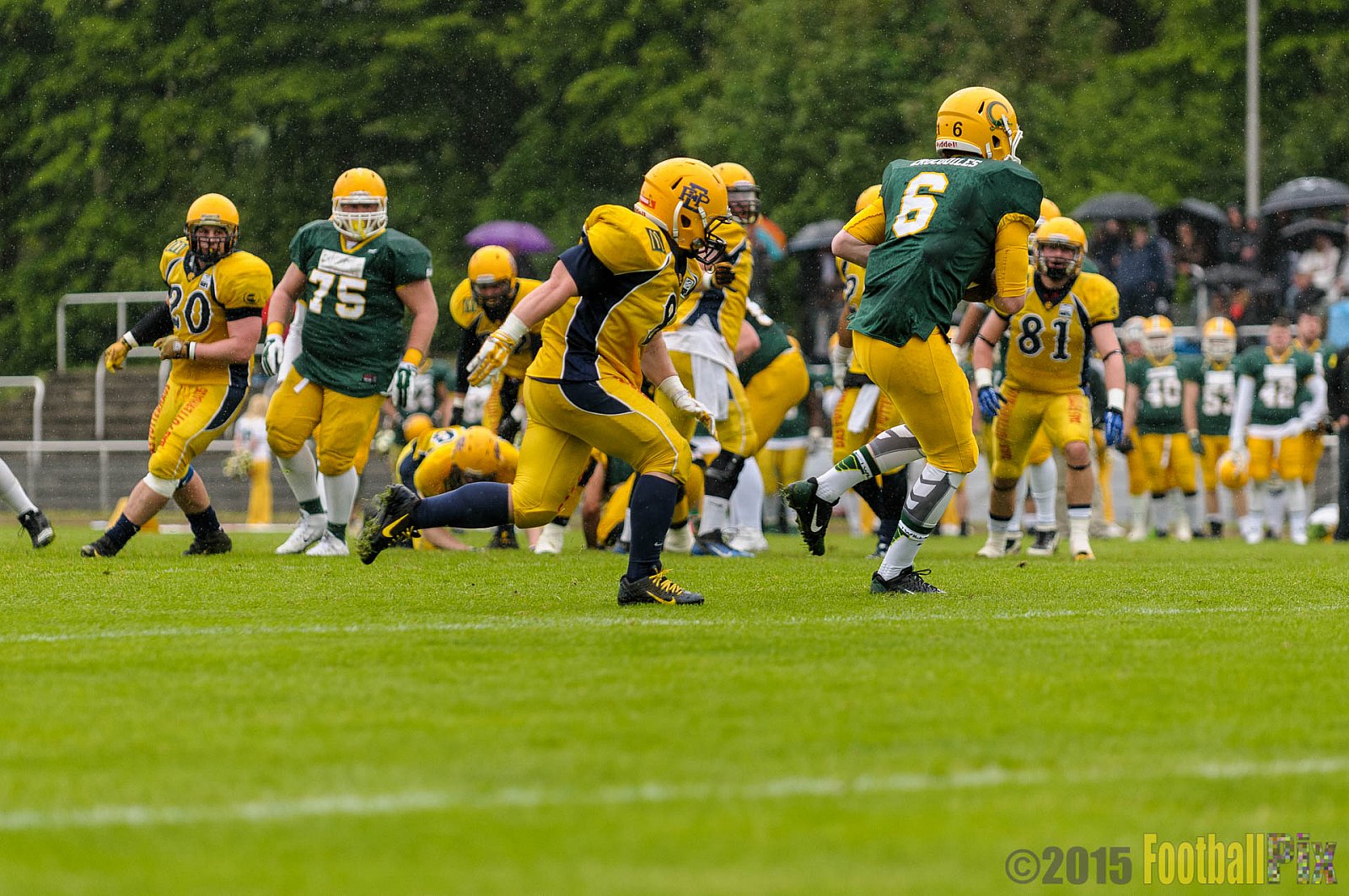Cologne Crocodiles vs. Elmshorn Fighting Pirates - 03.05.2015 GFL2 Nord: Cologne Crocodiles vs. Elmshorn Fighting Pirates (52:7)