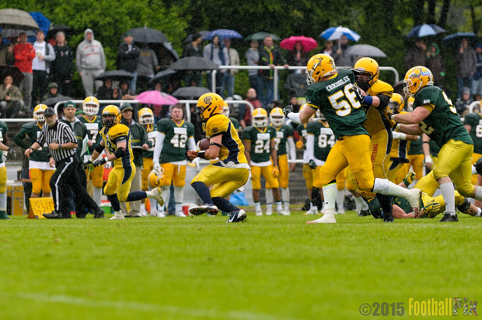 Cologne Crocodiles vs. Elmshorn Fighting Pirates - 03.05.2015 GFL2 Nord: Cologne Crocodiles vs. Elmshorn Fighting Pirates (52:7)