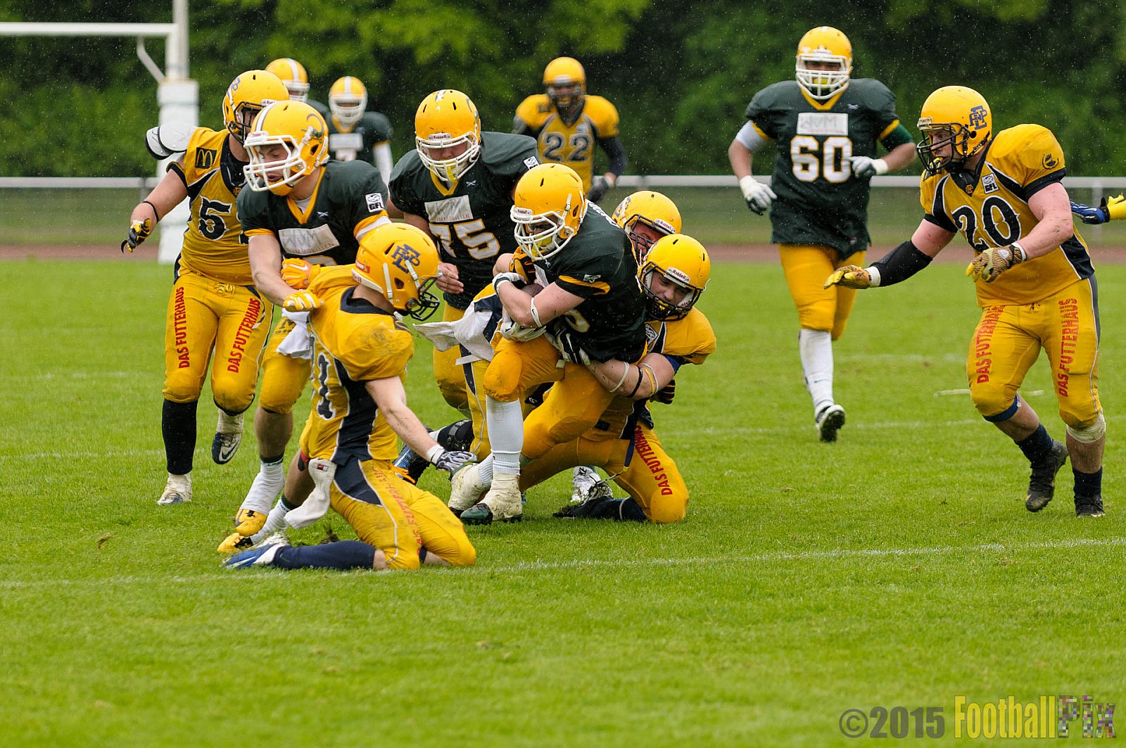 Cologne Crocodiles vs. Elmshorn Fighting Pirates - 03.05.2015 GFL2 Nord: Cologne Crocodiles vs. Elmshorn Fighting Pirates (52:7)