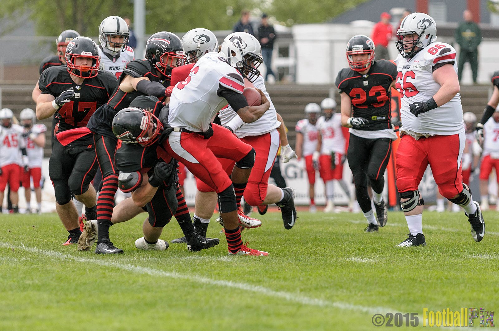 Düsseldorf Panther vs. Hamburg Huskies - 09.05.2015 GFL Nord: Düsseldorf Panther vs. Hamburg Huskies (10:27)
