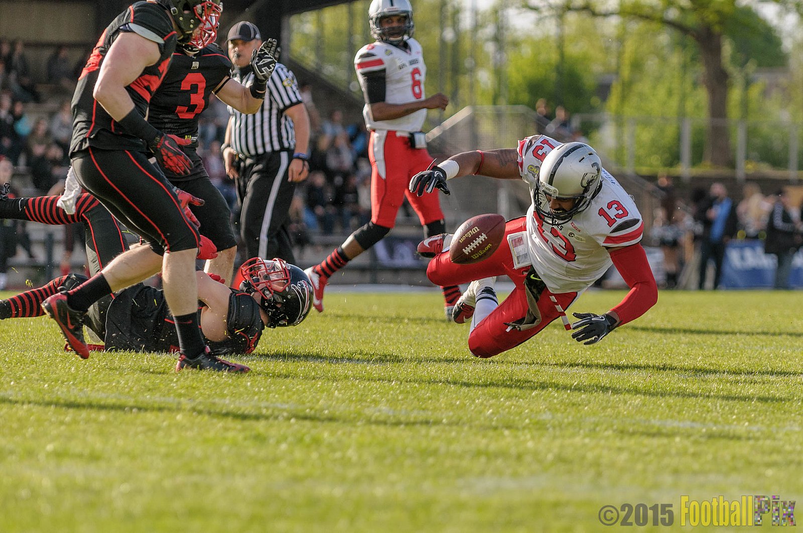 Düsseldorf Panther vs. Hamburg Huskies - 09.05.2015 GFL Nord: Düsseldorf Panther vs. Hamburg Huskies (10:27)