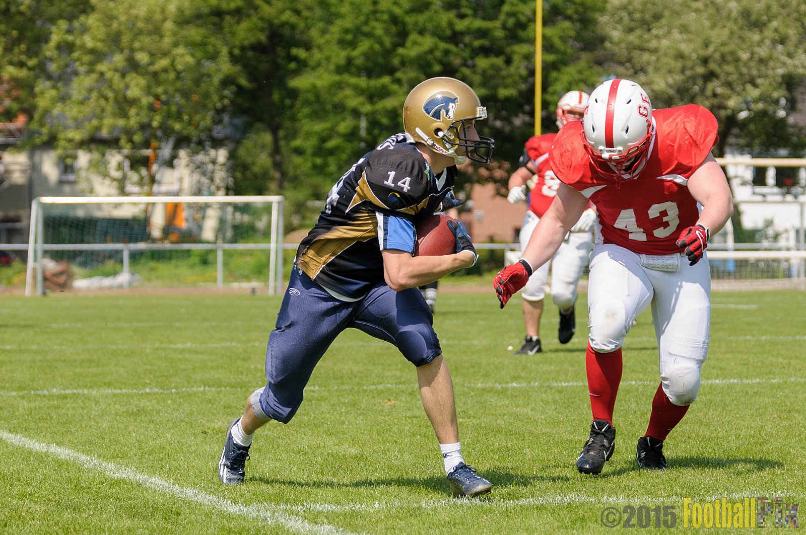 Schiefbahn Riders vs. Gelsenkirchen Devils - 10.05.2015 OL NRW: Schiefbahn Riders vs. Gelsenkirchen Devils (7:14)